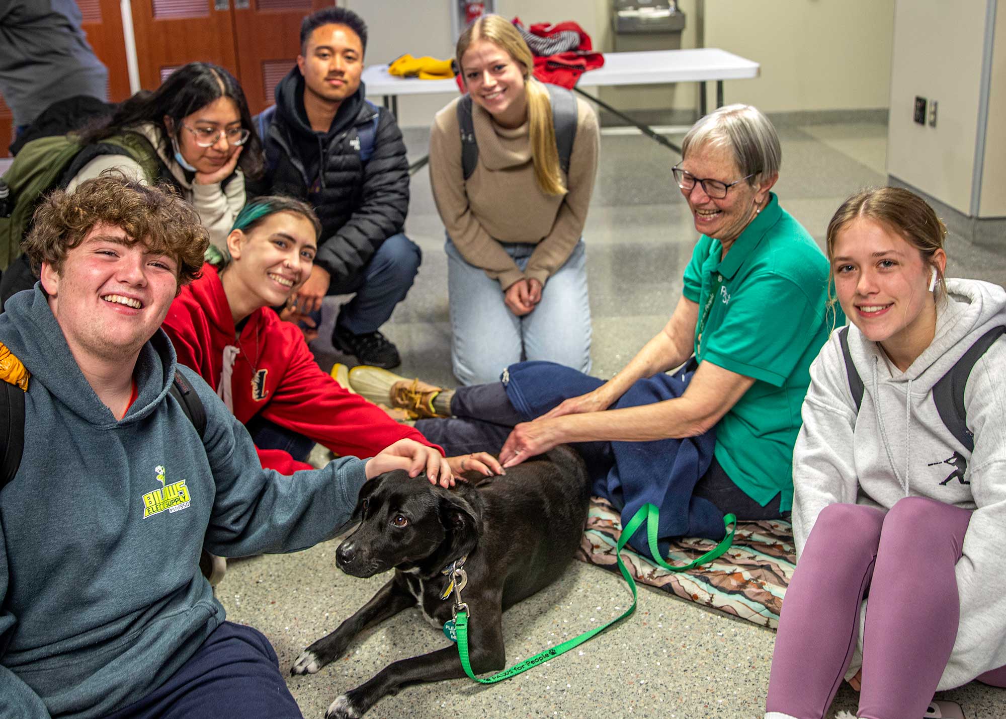 Students pet a black lab for de-stress fest