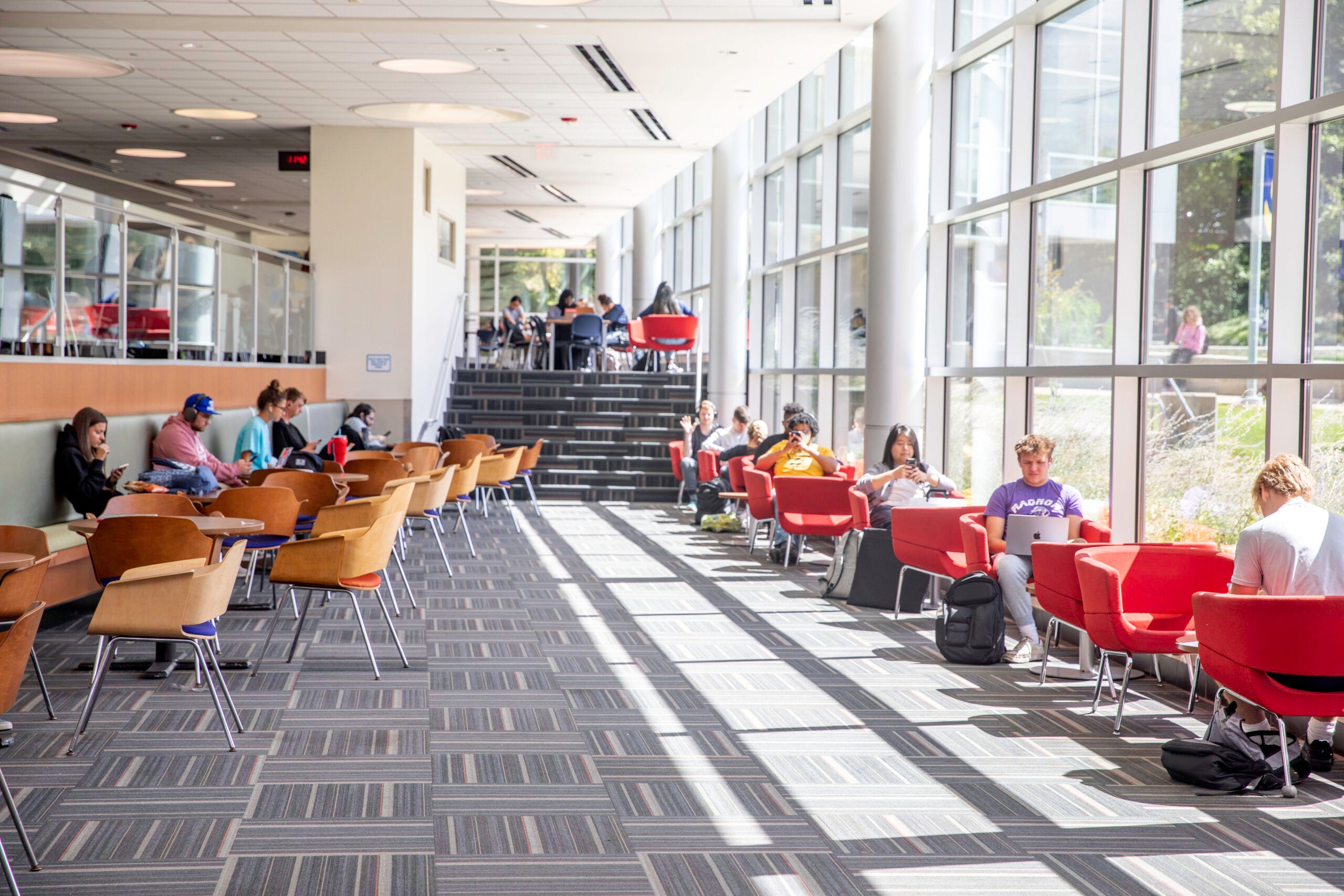 The sun streams in to the Marple Campus STEM building study area.