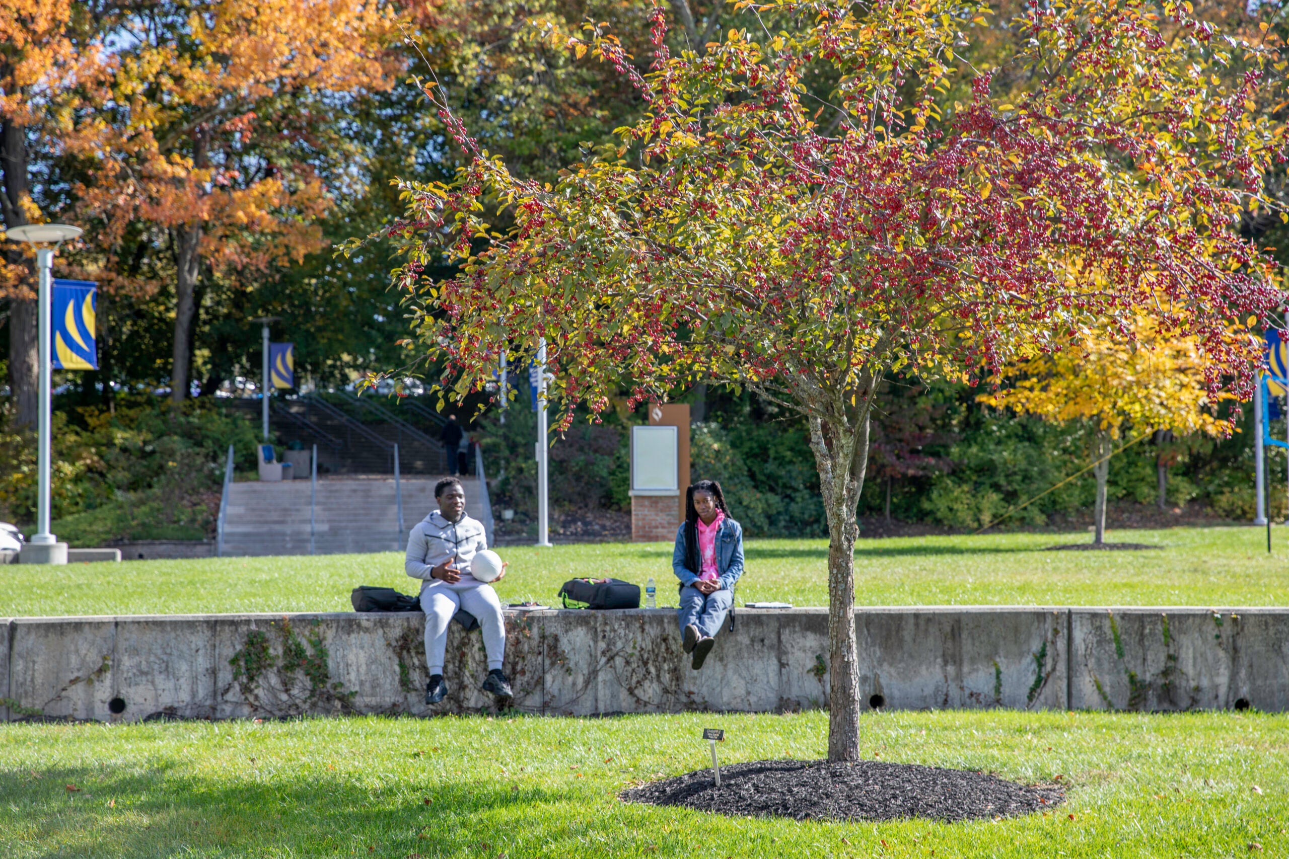 Warm temps and fall foliage on the Marple Campus courtyard.